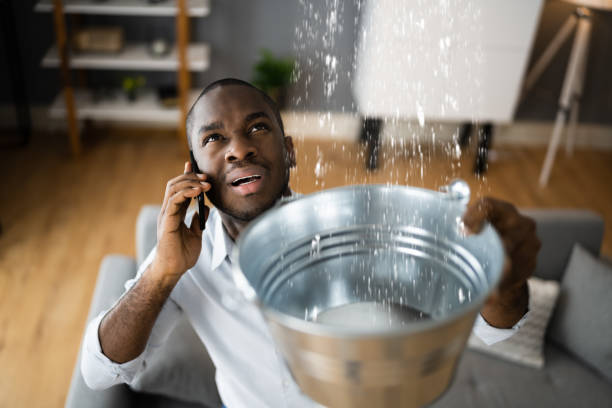 Best Flooded house restoration  in Morehead, KY