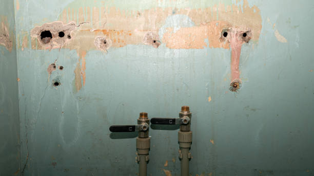 Carpet water damage restoration in Morehead, KY