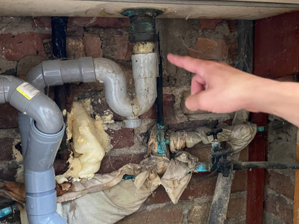 Best Water damage mitigation services  in Morehead, KY