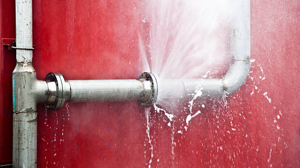 Best Sewage cleanup and water damage restoration  in Morehead, KY